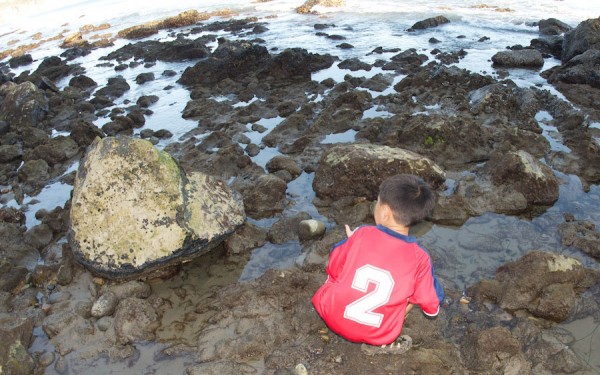 Matthew looking for a crab underneath a rock Matthew looking for a crab underneath a rock