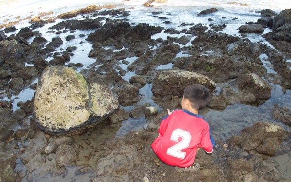 Matthew looking for a crab underneath a rock