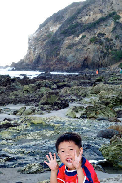 Having fun at the tidepools Having fun at the tidepools