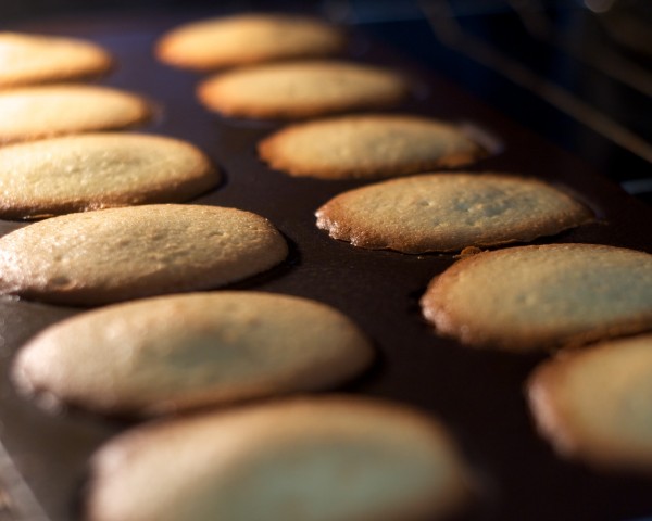 Dadeleines in the oven